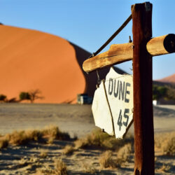 11about-company.dune-45